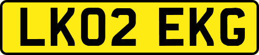 LK02EKG