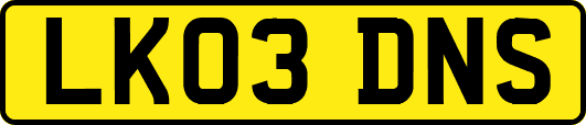 LK03DNS