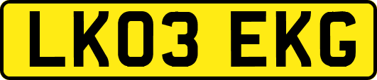 LK03EKG