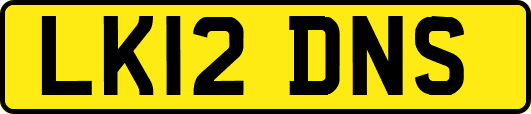 LK12DNS