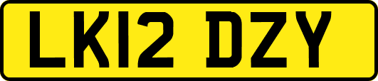 LK12DZY