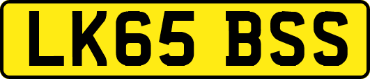 LK65BSS