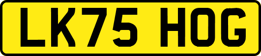 LK75HOG
