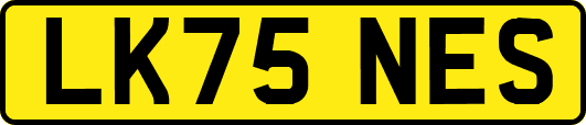 LK75NES