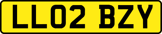 LL02BZY