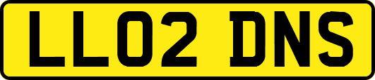 LL02DNS