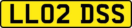 LL02DSS