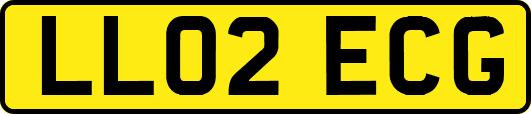 LL02ECG