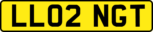 LL02NGT