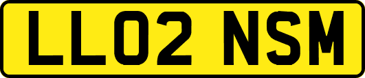 LL02NSM