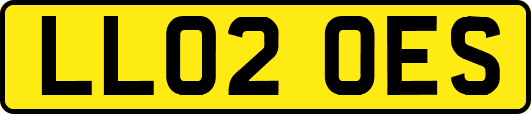 LL02OES