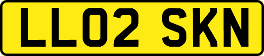 LL02SKN