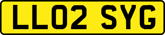 LL02SYG