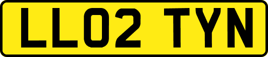 LL02TYN