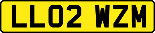 LL02WZM
