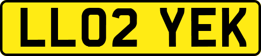 LL02YEK