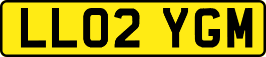 LL02YGM