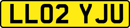 LL02YJU