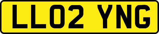 LL02YNG