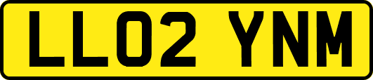 LL02YNM