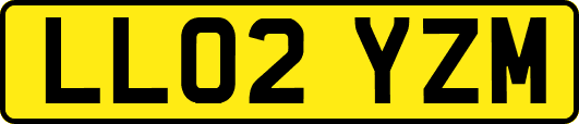 LL02YZM