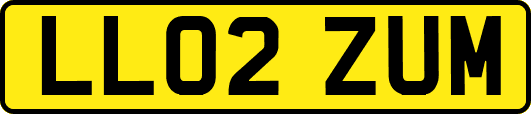 LL02ZUM