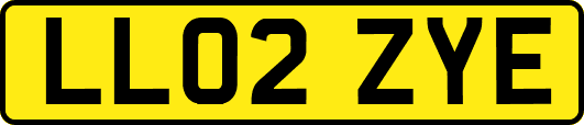 LL02ZYE