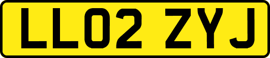 LL02ZYJ
