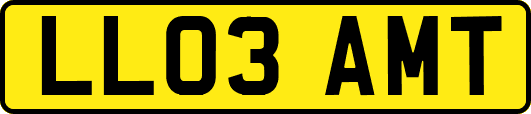 LL03AMT