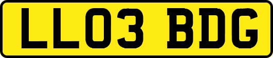 LL03BDG