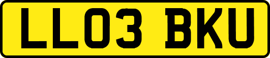LL03BKU