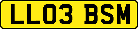 LL03BSM