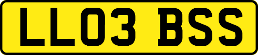 LL03BSS