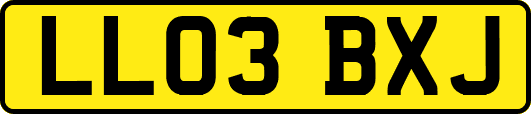LL03BXJ