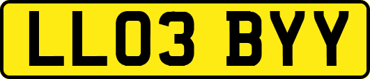 LL03BYY