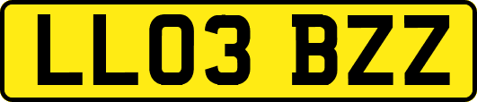 LL03BZZ