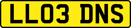 LL03DNS