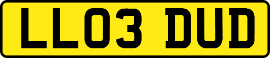 LL03DUD