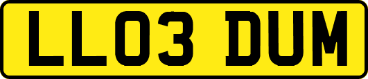 LL03DUM