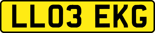 LL03EKG