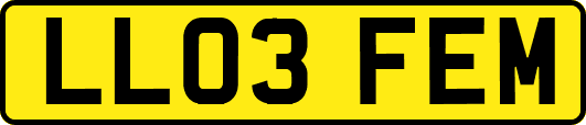 LL03FEM