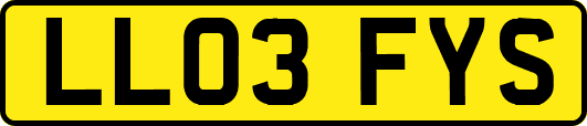 LL03FYS