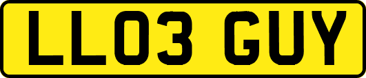 LL03GUY