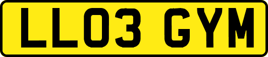 LL03GYM