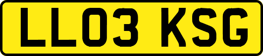 LL03KSG
