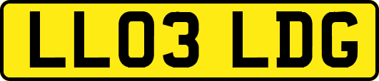 LL03LDG