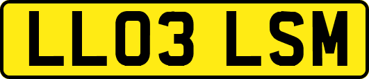 LL03LSM