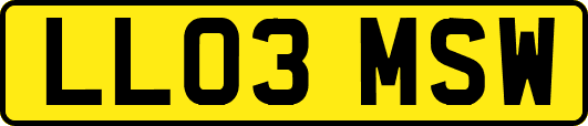 LL03MSW