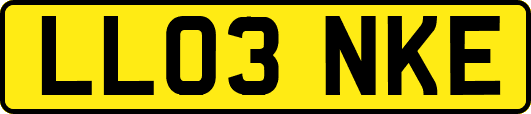 LL03NKE