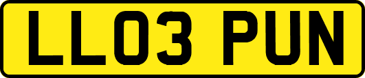 LL03PUN